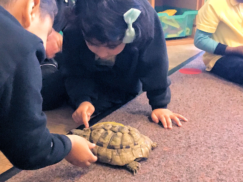 Nursery Children Meet the Vet